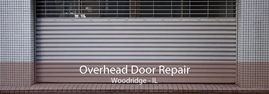 Overhead Door Repair Woodridge - IL