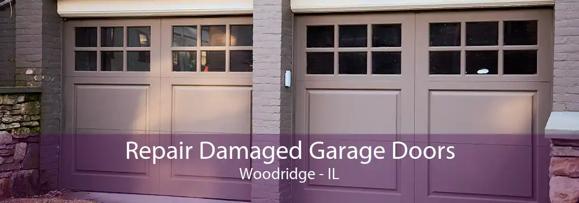 Repair Damaged Garage Doors Woodridge - IL