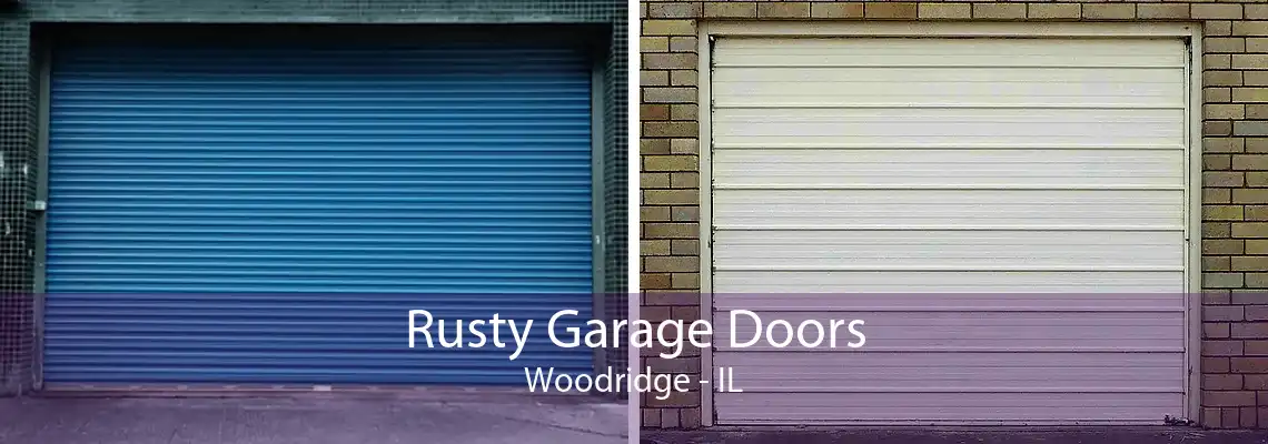 Rusty Garage Doors Woodridge - IL