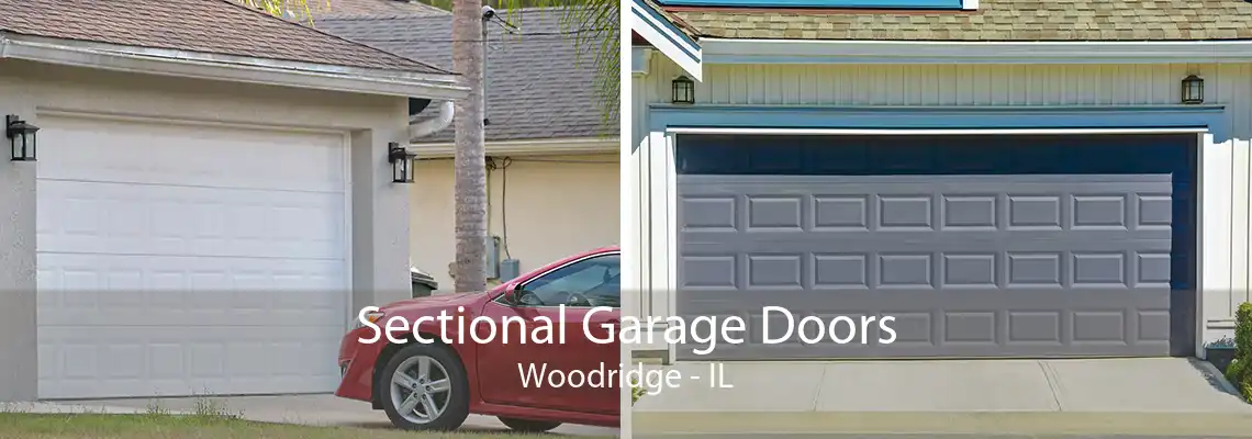 Sectional Garage Doors Woodridge - IL