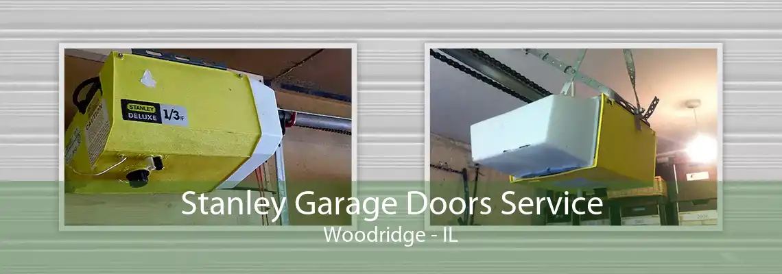 Stanley Garage Doors Service Woodridge - IL